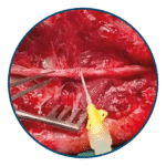 Fziomed-Dynavisc-02-Mesa-de-trabajo-1-copia