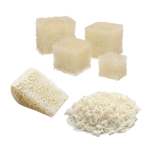 HC Biologics_Aloinjertos y Productos a Base de Tejidos